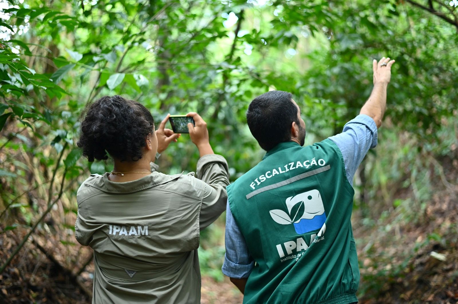 Desmatamento no Amazonas cai 30,1% no primeiro trimestre de 2026, aponta Inpe   - Meio Ambiente