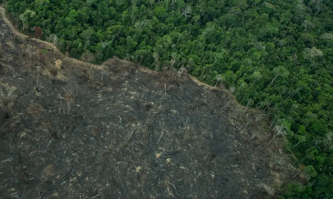 Greenpeace: imagens mostram novas áreas de garimpo em TIs na Amazônia - Meio Ambiente