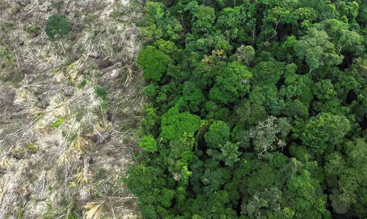 Dino dá prazo de 60 dias para Amazônia e Pantanal aderirem ao Sinaflor - Deixa eu te falar