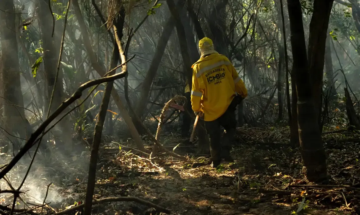 Amazônia tem o maior número de queimadas e incêndios em 17 anos - Meio Ambiente